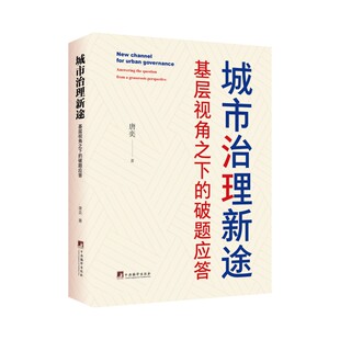 城市治理新途:基层视角之下的破题应答 唐奕著 16开精装 中国政治
