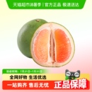 順豐快遞泰國(guó)青柚紅心柚子單果當(dāng)季 包郵 新鮮水果