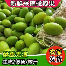 正宗茂名高州青皮橄榄新鲜摘新鲜青橄榄鲜果煮汤橄榄新鲜橄榄果