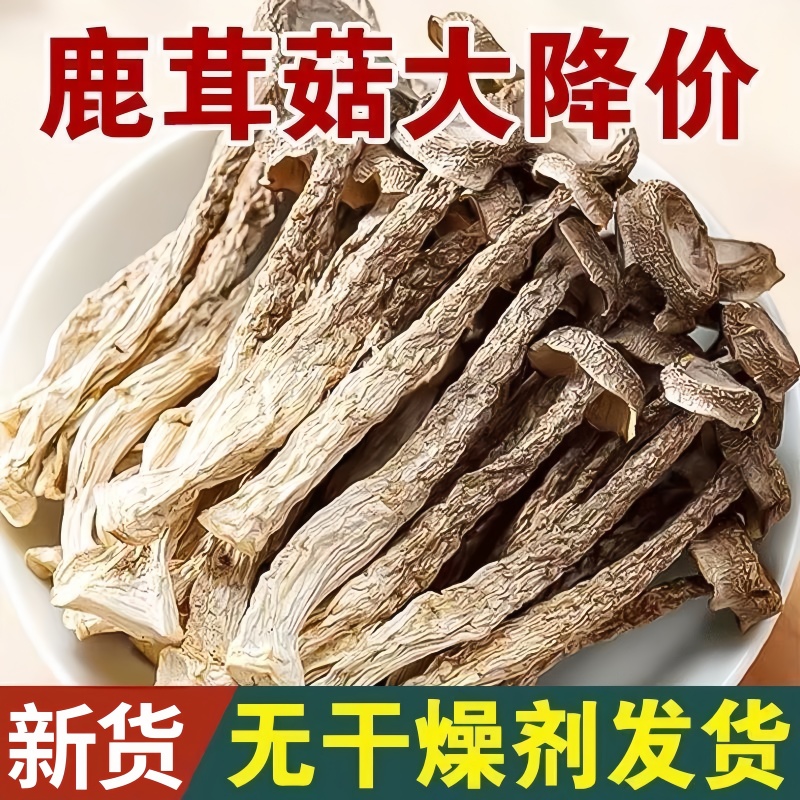 今年新鲜鹿茸菇干货非特级鹿茸菌古田特产煲汤脆姑蘑菇香菇
