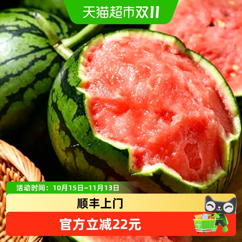 山东2K糖丸小西瓜迷你西瓜手掰即食脆甜无渣现摘现发当季鲜果