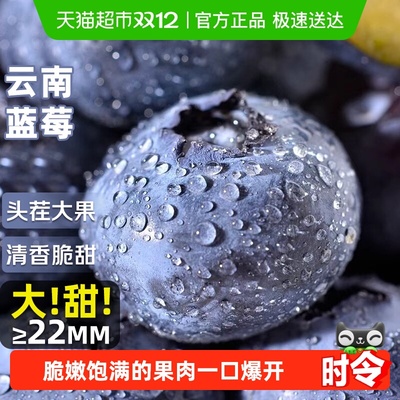 云南蓝莓高山花香蓝莓大果