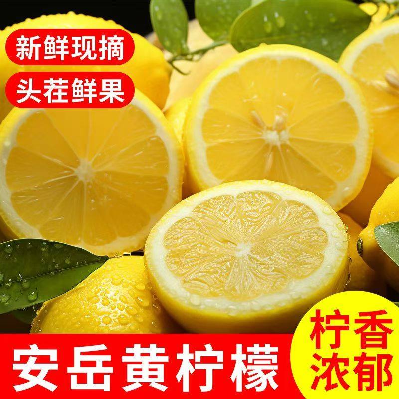 手工精选安岳新果黄柠檬新鲜水果皮薄多汁当季鲜果整箱商用榨汁