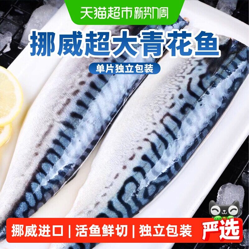青花鱼挪威进口鲭鱼青花鱼片半成品整条盐渍新鲜烤青占鱼商用冷冻