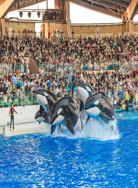 【官方特惠】上海海昌海洋公园门票2日vip无限入园+上海海昌企鹅万信酒店1晚享接驳车