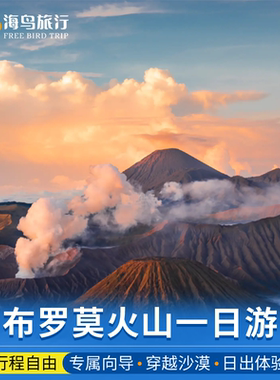 印尼泗水bromo布罗莫火山一日游马达将军瀑布宜珍火山巴厘岛