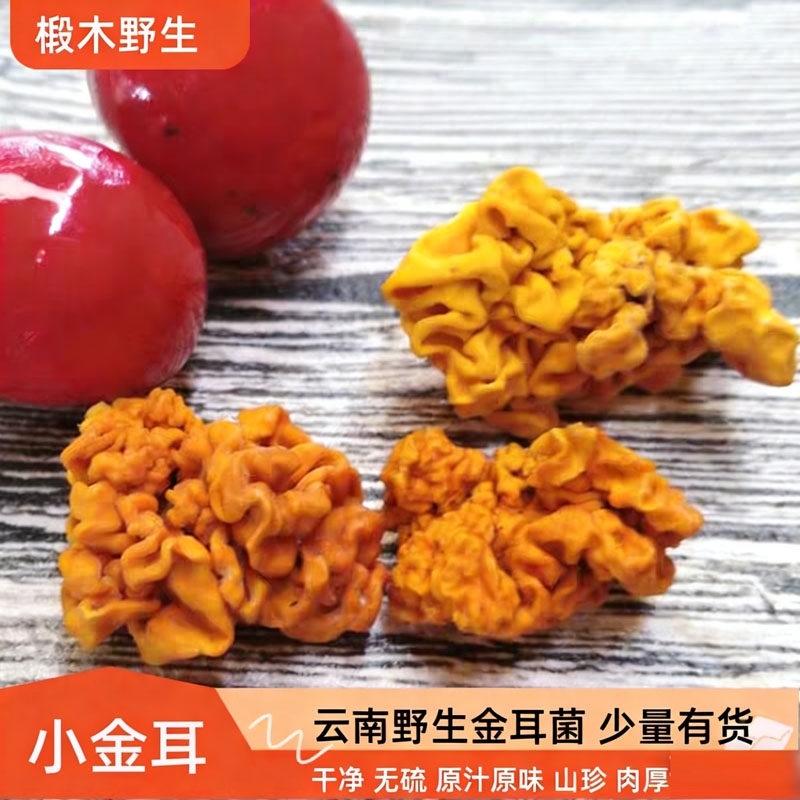 修剪无硫云南野生金耳250克黄金木耳金耳菌干货西藏正宗银耳包邮