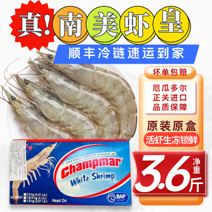 进口南美虾皇对虾皇冠大虾厄瓜多尔白虾3040冷冻海鲜水产批发海虾