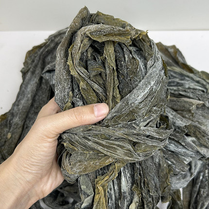 新货 宁波象山干海带 日晒海带干/昆布/裙带/海带丝/海带干海藻