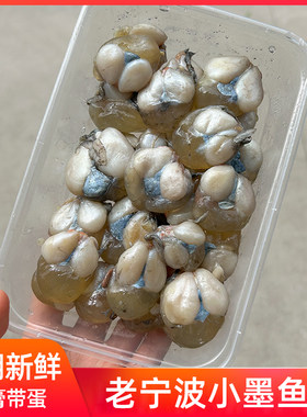 新鲜带膏小墨鱼蛋乌贼卵咸味乌鱼蛋腌制海鲜目鱼蛋