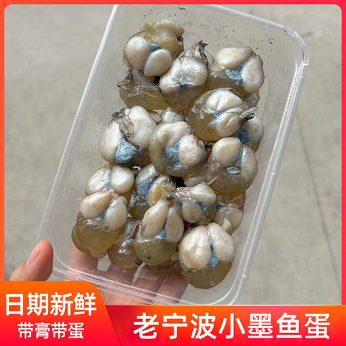 新鲜带膏小墨鱼蛋乌贼卵咸味乌鱼蛋腌制海鲜目鱼蛋