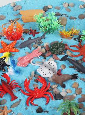 瑞吉欧开放性材料provocation自然幼儿园科学区活动感官盆材料模