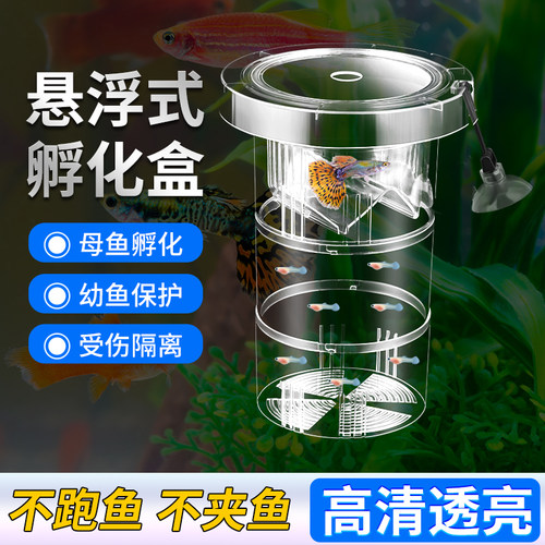 鱼缸孔雀鱼繁殖孵化隔离盒产卵产房小鱼幼鱼悬浮透明亚克力产卵房
