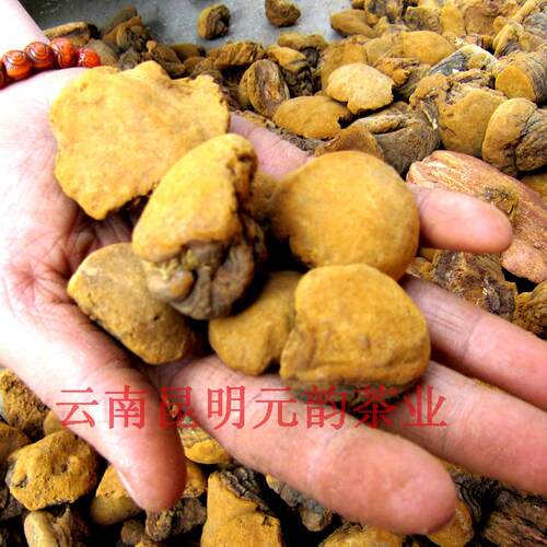 云南野生桑树桑黄 桑黄片桑黄粉 养生新趋势森林黄金特卖100元/斤 - 封面