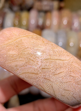 56.3胖菊粉色胖虫纹