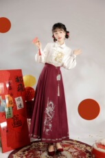 китайский костюм 龙跃原创汉服女改良汉元素衬衫马面裙套装新中式国风日常通勤春秋