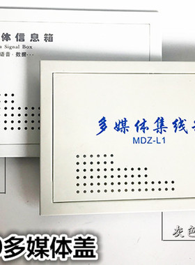 加厚30*20多媒体集线箱盖家用门板弱电箱盖板网络信息箱铁盖包邮