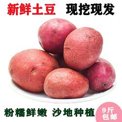 山西岚县特产红皮土豆黄心新鲜大土豆糯面现挖马铃薯洋芋9斤包邮