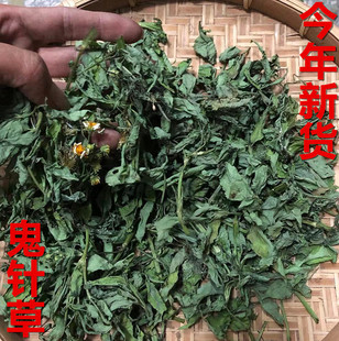 新鲜野生 鬼针草一包针 盲肠草 三叶鬼针草茶 自晒干品500克包邮