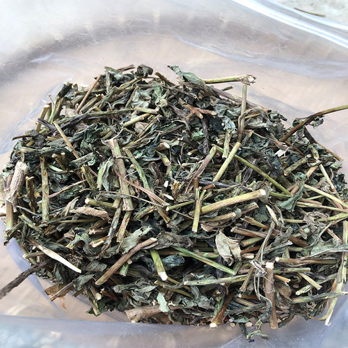 假马鞭玉龙鞭大蓝草