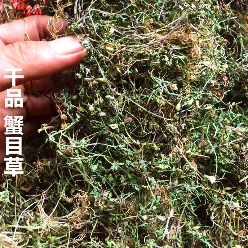 干品定经草中药材长蒴母草 蟹目草四方草田蟹目小号蛇针草开怀草