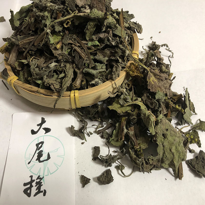 新晒干品大尾摇 鱿鱼草 象鼻癀草 大狗尾象鼻花 勾头蛇中草药药材