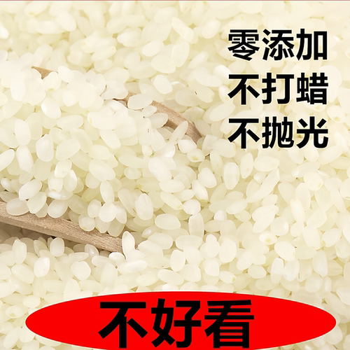 江苏大米新米软糯香米