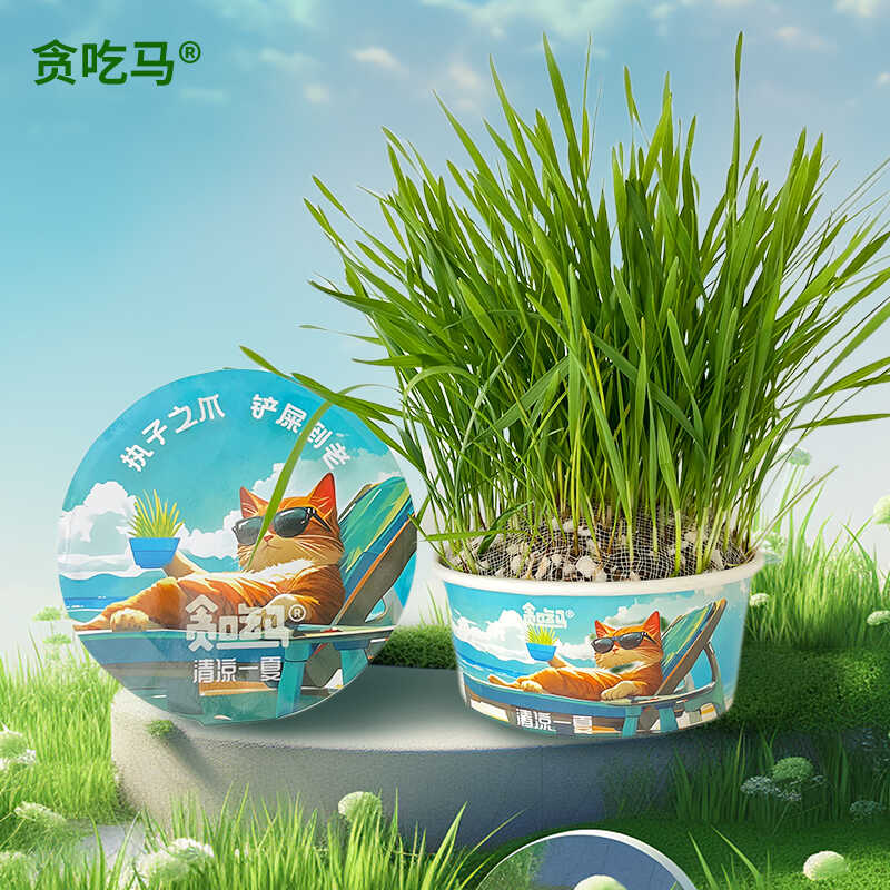 貪吃馬夏季貓草罐裝泡面貓草無土貓草貓零食營養(yǎng)化毛懶人貓草
