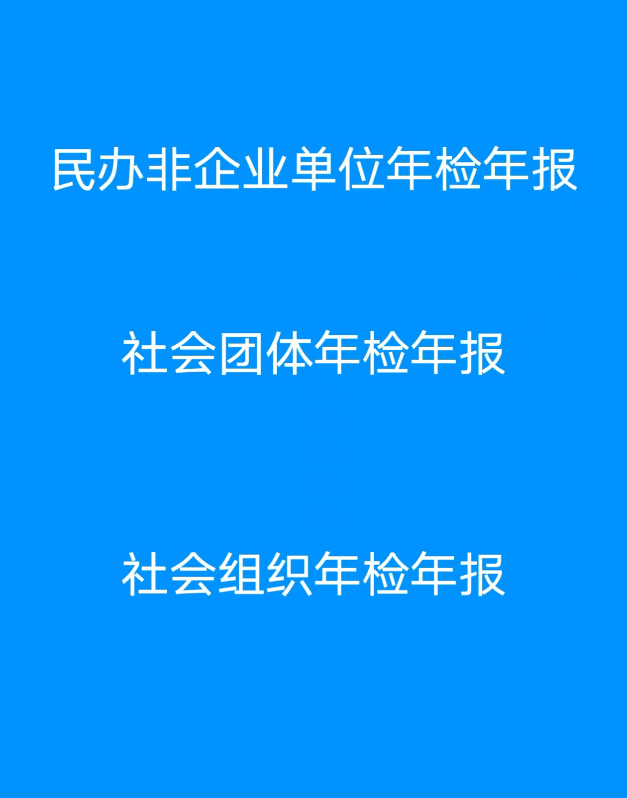 民办非企业单位年检年报社会团体年检年报社会组织年检年报