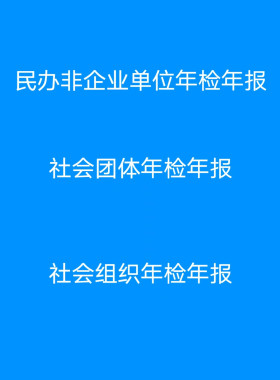民办非企业单位年检年报社会团体年检年报社会组织年检年报