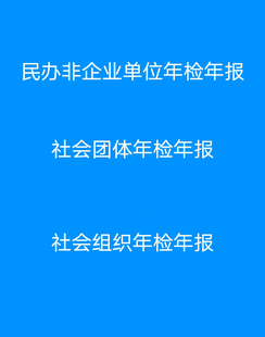 民办非企业单位年检年报社会团体年检年报社会组织年检年报