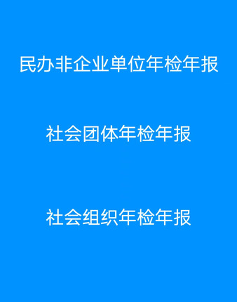 民办非企业单位年检年报社会团体年检年报社会组织年检年报
