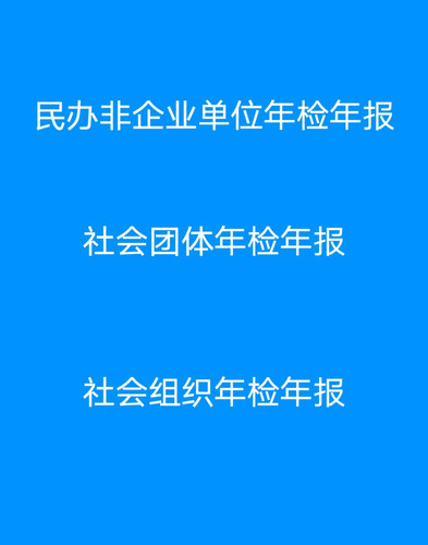 民办非企业单位年检年报社会团体年检年报社会组织年检年报