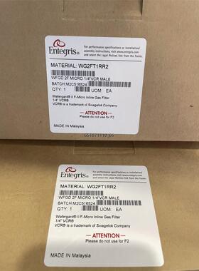 美国ENTEGRIS气体过滤器WG2FT1RR2 WGFGT