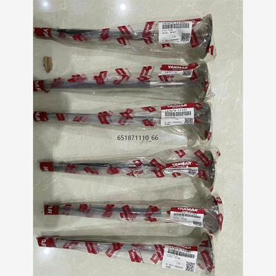 N21进气阀147673-01N21