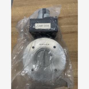 MKS 253B-60-63-2 Exhaust Throt