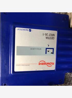 Gestra NRGT 26-1S，1475mm，液位电极，