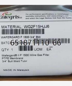 ENTEGRIS英特格WG2F15HJJ6 气体过滤器，现货