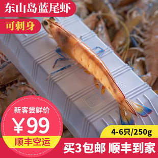 蓝尾虾 4-6只 250g 东山岛海鲜 海捕大虾 斑节虾 鸡冠虾 可刺身虾