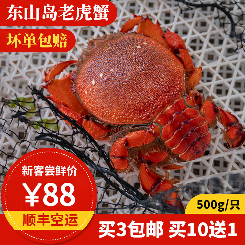老虎蟹 500g 1只 东山岛海鲜 本港海捕螃蟹 贵妃蟹 咖啡蟹 梭子蟹