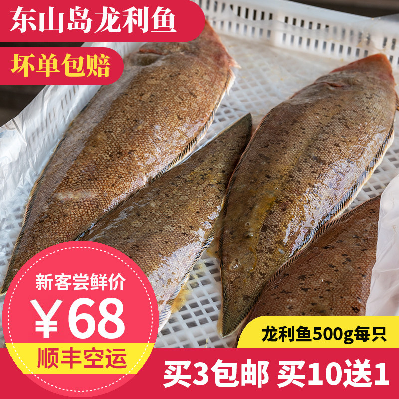 龙利鱼 1只500g 东山岛海鲜 无刺踏板鱼牛舌鱼鳎目鱼宝宝辅