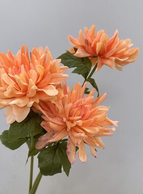 超级手感保湿大丽花家居插花