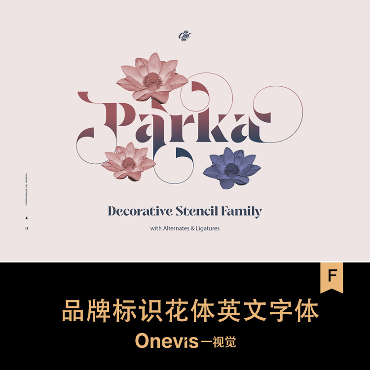 优雅品牌标识商标英文字体安装包设计素材花体时尚衬线