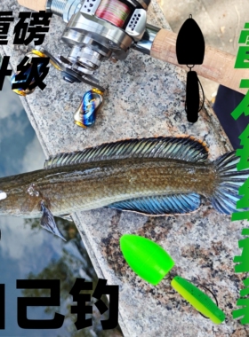 钓雷龙钓组套装全套配件浮水臭水沟专用土豆无铅路亚饵微物饵成品