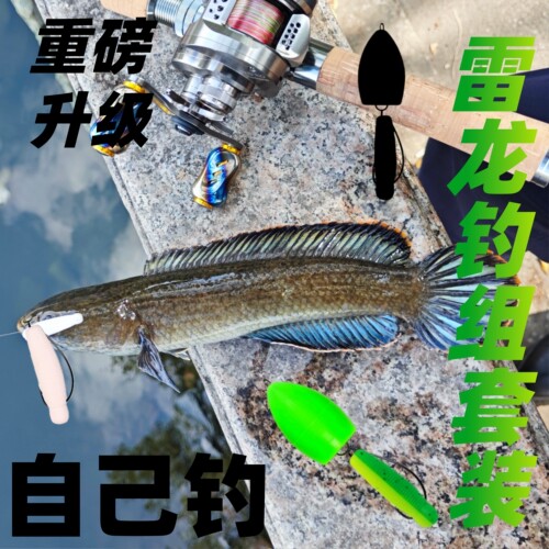 雷龙钓组套装改装助投器成品