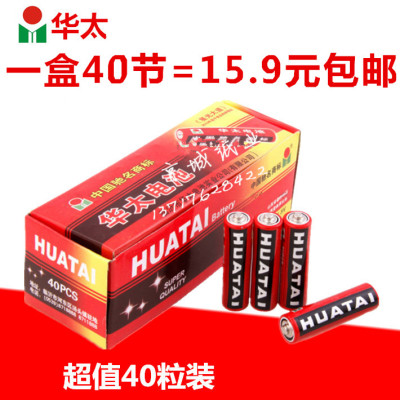 正品华太干电池遥控儿童电动玩具有声挂图专用华泰5号包邮