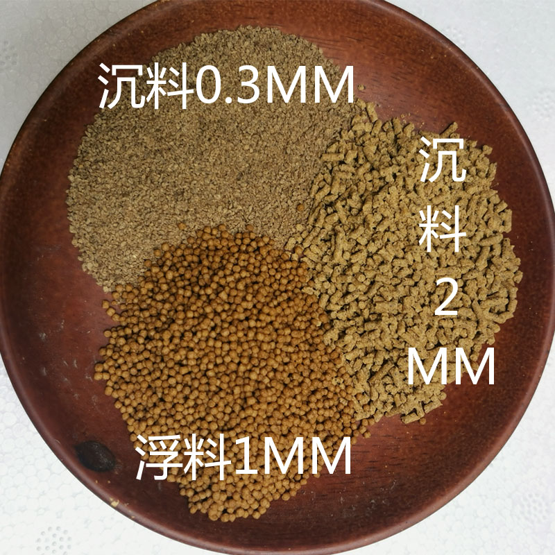 马口鱼旁皮鱼鳑鲏鱼石斑鱼宽鳍鱲