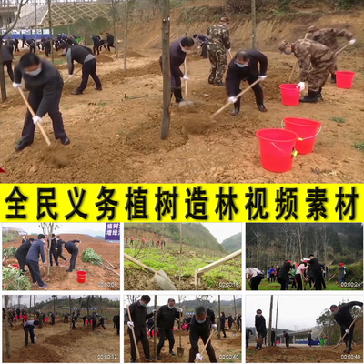 植树节全民义务植树造林种树栽树浇水绿水青山金山银山视频素材