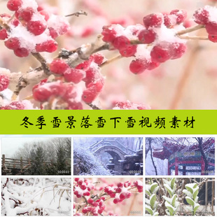 冬季冬天严冬寒冬下雪飘雪冰天雪地赏雪冬至东北美景实拍视频素材