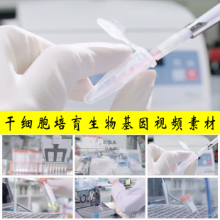 干细胞诱导培育医学生物基因工程科研科技人才科技工作者视频素材